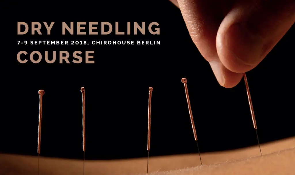 Dry Needling Kurs im Chirohouse Berlin